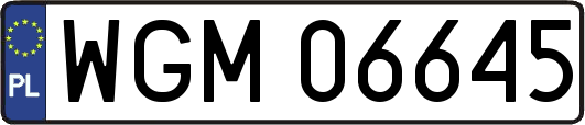 WGM06645