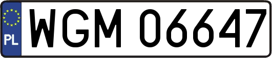 WGM06647