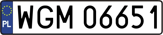 WGM06651