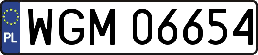 WGM06654