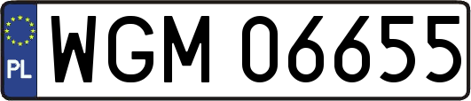 WGM06655