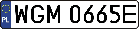 WGM0665E