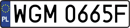 WGM0665F