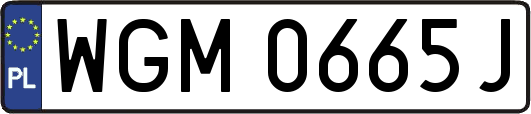 WGM0665J