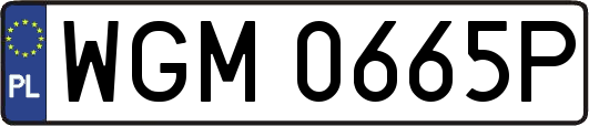 WGM0665P