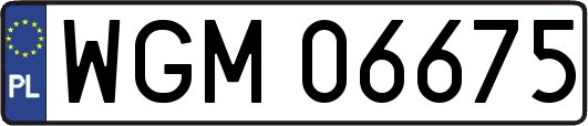 WGM06675