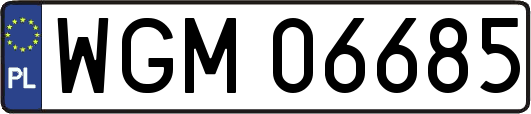 WGM06685