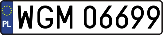 WGM06699