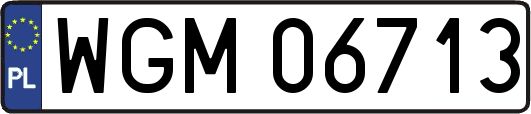 WGM06713