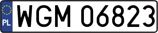 WGM06823
