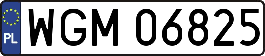 WGM06825