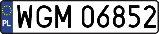 WGM06852
