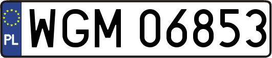 WGM06853