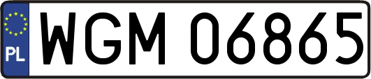 WGM06865
