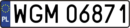 WGM06871