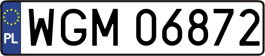 WGM06872