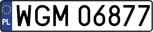 WGM06877