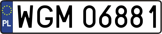 WGM06881