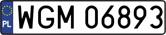 WGM06893