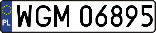 WGM06895