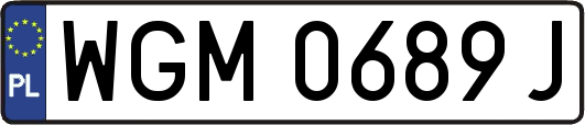 WGM0689J