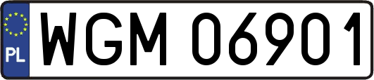 WGM06901