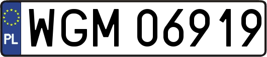 WGM06919