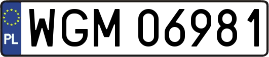 WGM06981