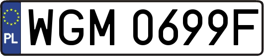 WGM0699F