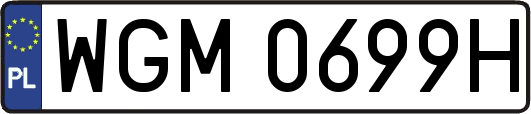 WGM0699H