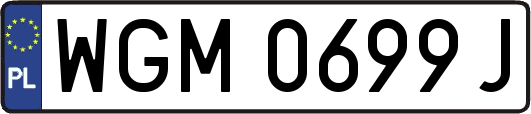 WGM0699J