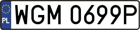 WGM0699P
