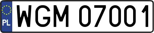 WGM07001