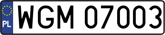 WGM07003