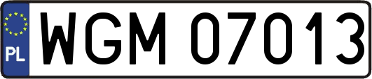 WGM07013