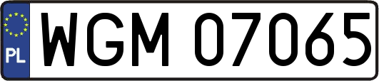 WGM07065