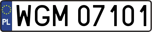WGM07101