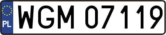WGM07119