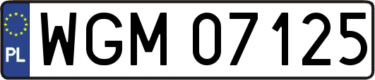 WGM07125