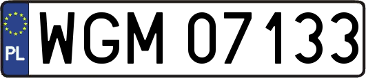 WGM07133