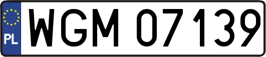WGM07139