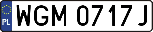 WGM0717J