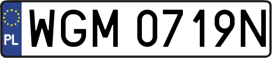 WGM0719N