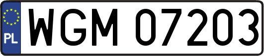 WGM07203