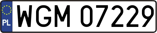 WGM07229
