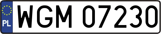 WGM07230
