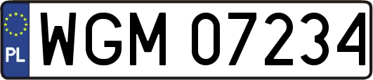 WGM07234