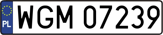 WGM07239