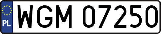 WGM07250