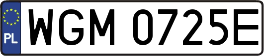 WGM0725E